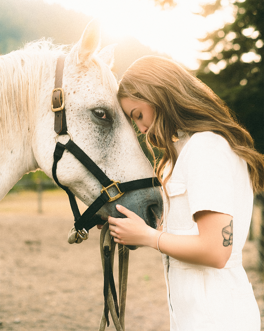 Creative Editorial Portraits with Horses on a Private Ranch in Montana — photograph 1 of 20